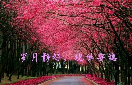 时间好，希望好