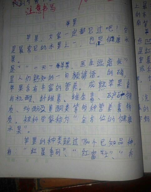 写出这只鸟的描述