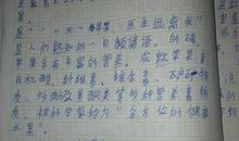 写小鸟的说明文