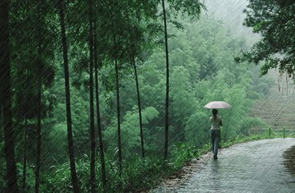 雨·爱