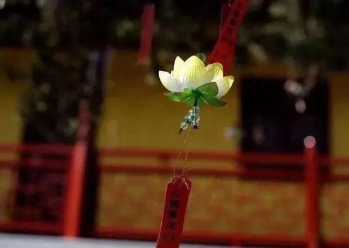 生活是路人，所以为什么要去尘土