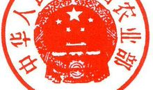 描写家禽的作文