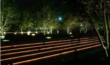 夏日的夜景真有趣