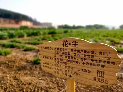 监视土地