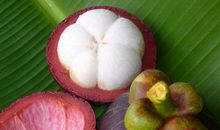 台风山竹给我们的启示