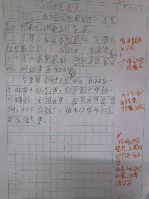植物朋友作文三年级