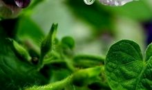 为了心灵的淡泊