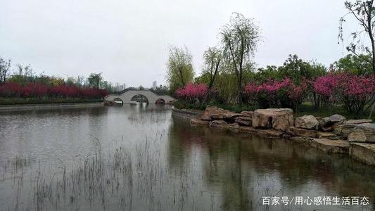 雨中的生态河