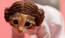 会笑的眼睛对我很重要