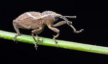 我发现了大自然的奥秘