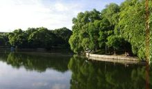 家乡的杏林湖公园