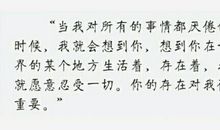 那棵树对我很重要