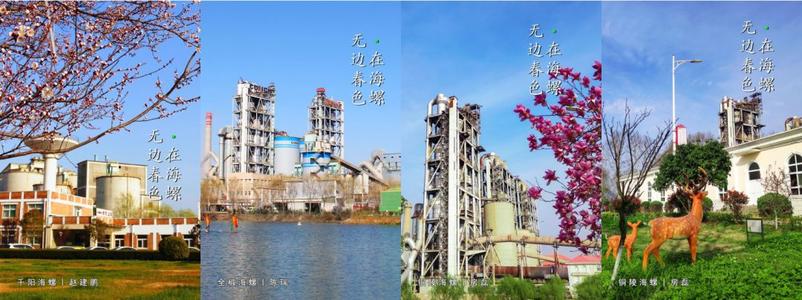 无边的春天