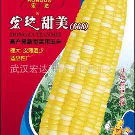 美味的玉米