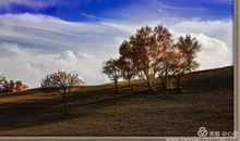 秋高气爽的秋天来了