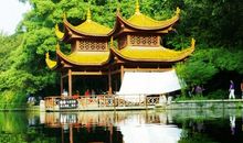 美丽的南郊公园