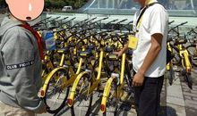 我是一辆小黄车