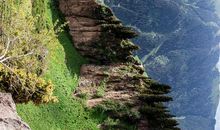 让远方之路开满鲜花