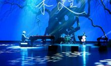 我听见了大自然的歌声