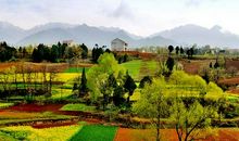 美丽的农村四季