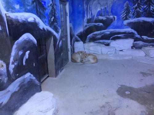 极地馆旅行