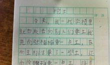 上街寻找错别字作文