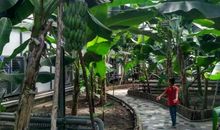 姥姥家的快乐时光