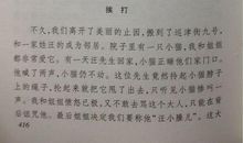 关于慈母的作文五年级