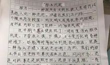 我喜欢夏天作文300字三年级