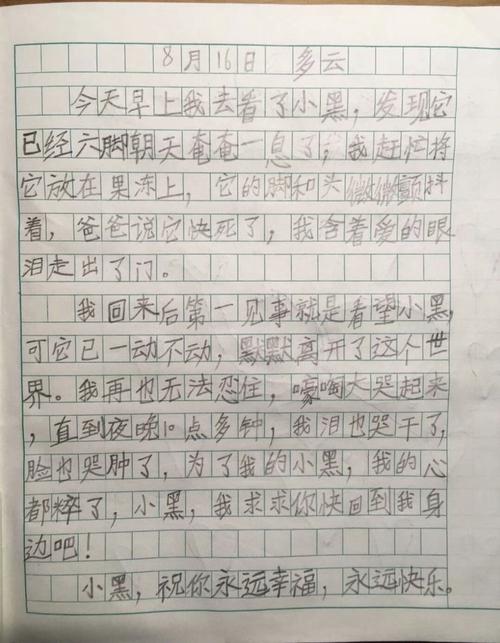 观察独角兽的日记