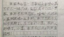 观察独角仙日记