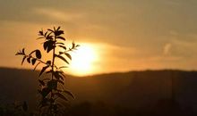 未来在等着现在的我