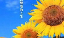 微笑带来的鼓励