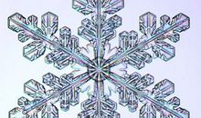 有趣的剪雪花