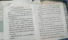 关爱生命的作文