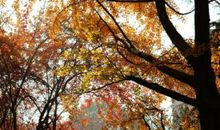 这个秋天真不好