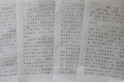 再见2019作文500字