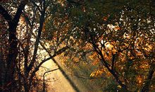 剪一缕阳光照心窗