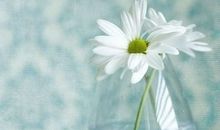 感谢您盛装莅临我的成长