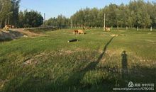 人生中最难以忘怀的一刻