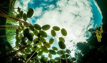 假如我是一汪泉水