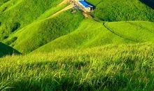 字里行间的风景