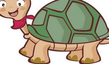 我家的小乌龟日记