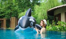 我的第一次温泉之旅