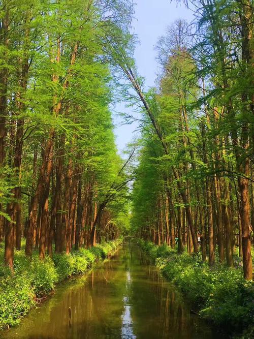 立中水上森林公园旅游须知