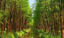 李中水上森林公园游记