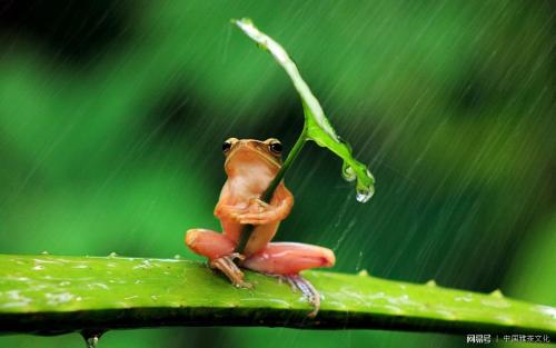 渡过心灵的雨季
