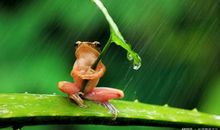 走过心灵的雨季