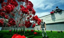 抓紧徘徊在身边的幸福