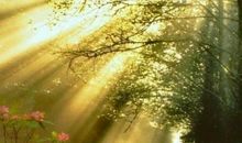 有风有雨有你们